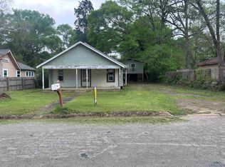 411 Pecan St, Center, TX 75935