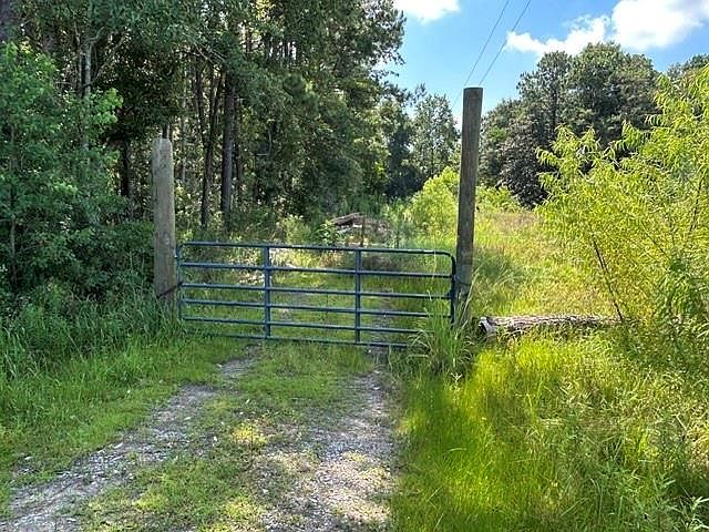 1st image of 6573 Dauphin Island Pkwy Lot 11