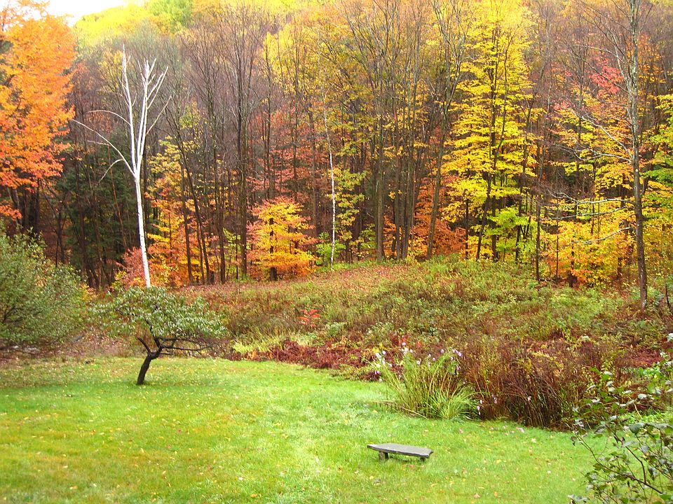 Autumn view from deck