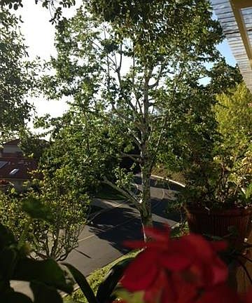 5th image of 2517 Holly Valley Dr