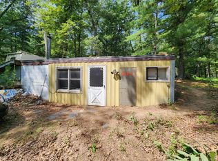 9447 S Wildwood Blvd, Baldwin, MI