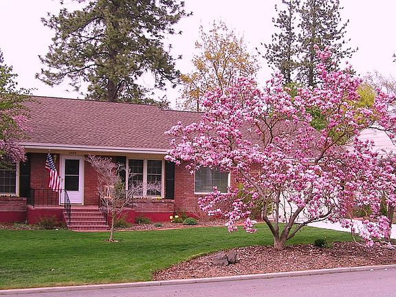 front view with magnolia