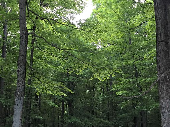 West view of property