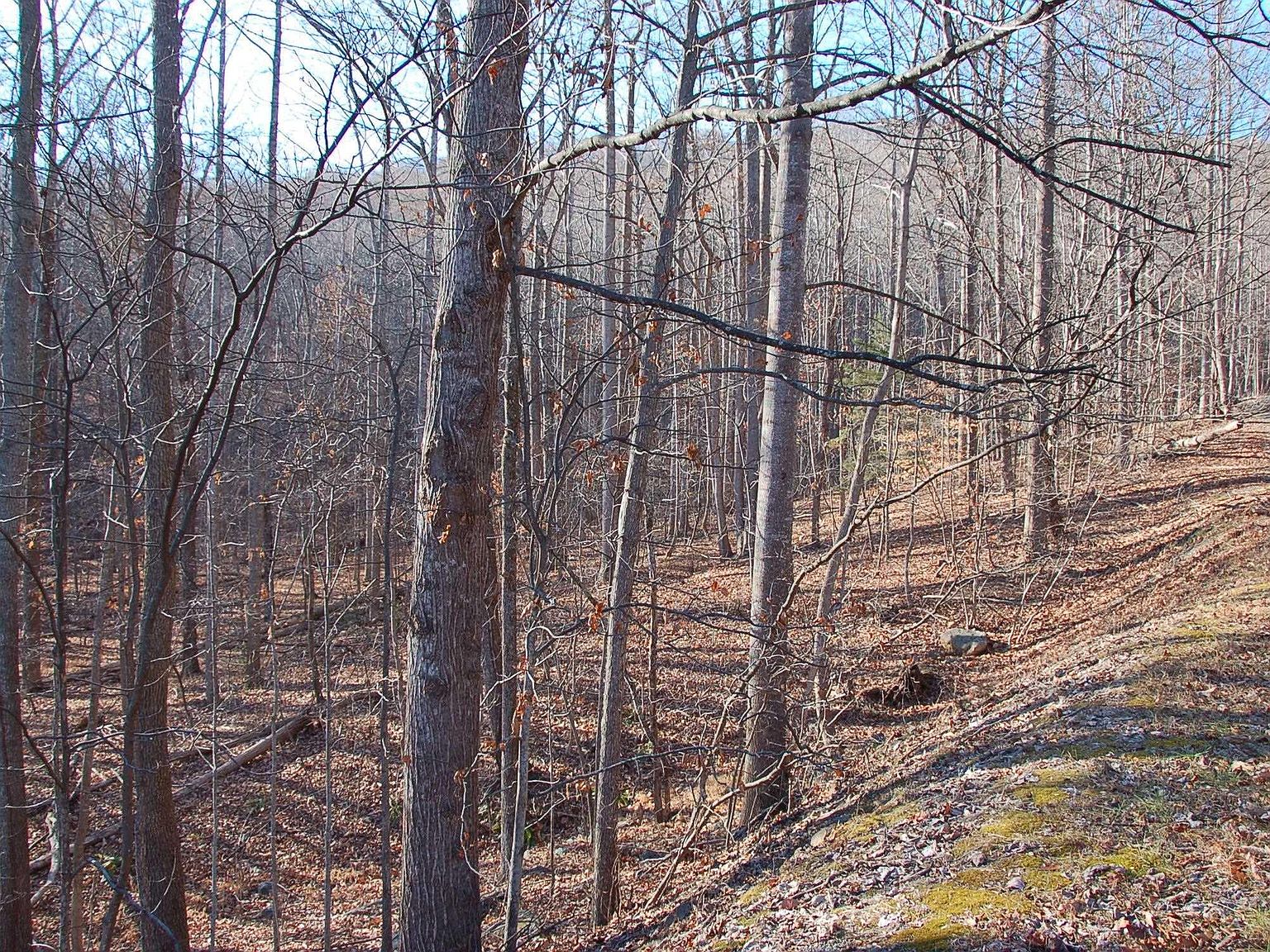 73 Crawfords Climb, Nellysford, VA 22958 MLS 648065 Zillow