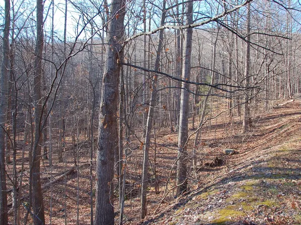 73 Crawfords Point, Nellysford, VA 22958