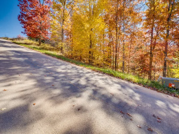 LOT 20 Homestead Dr, Unicoi, TN 37692