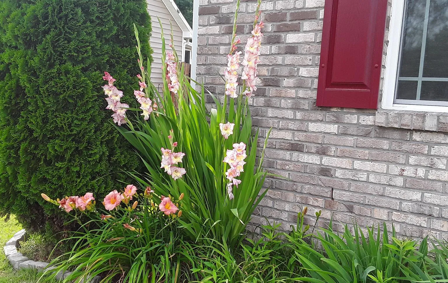 4 bed, 2000 sqft, $1,985 — Photo 3