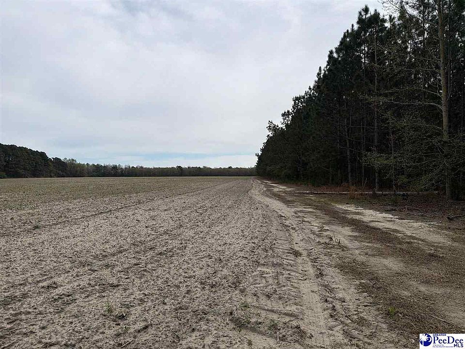 1st image of Mta 8 Heustess Rd