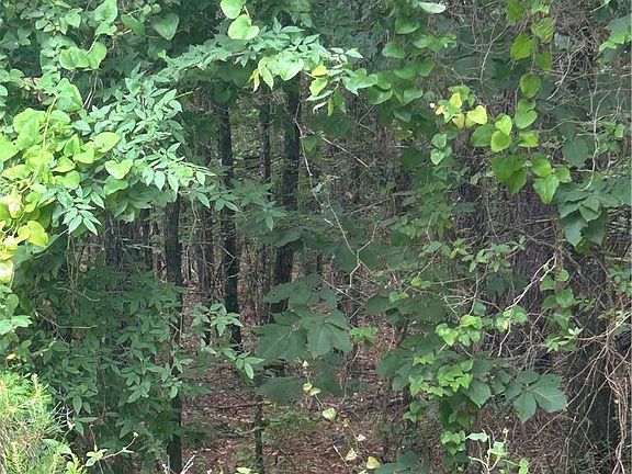 3rd image of 0 Wildcat Hollow Rd