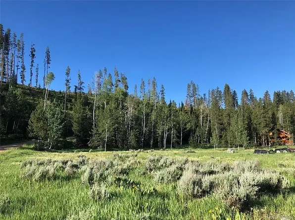 29395 Owl Dr, Clark, CO 80428