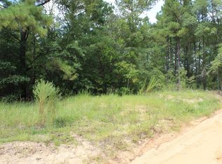 202 Rob Fallaw Rd, Gaston, SC 29053