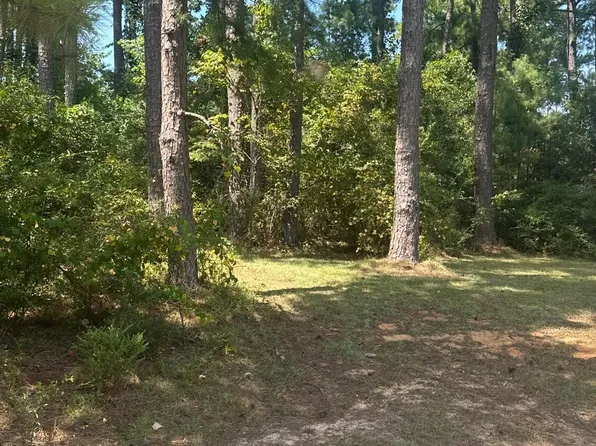 LOT 304 Norrell Dr, Petal, MS 39465