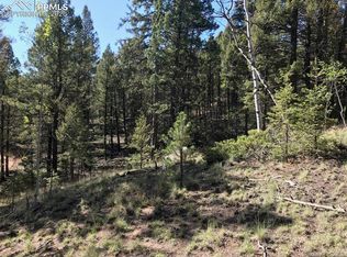 67 Feldspar Rd, Florissant, CO 80816