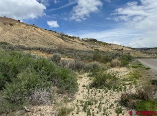 TBD Ward Creek Road, Cedaredge, CO 81413