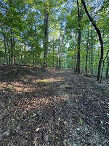 0 Bull Gap Rd #3 & 4, Talking Rock, GA, 30175