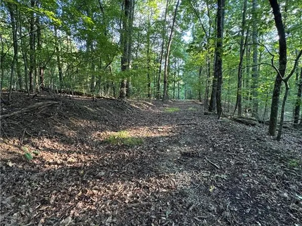 0 Bull Gap Rd #3 & 4, Talking Rock, GA 30175