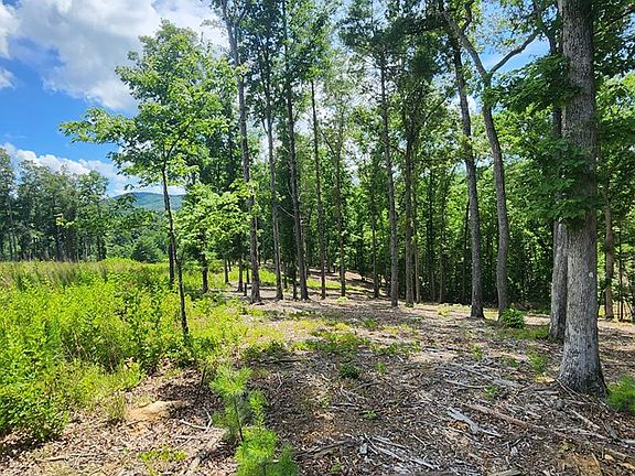 3rd image of LOT 106 Split Creek Rd