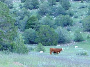 202 Henry Trl, Canon City, CO 81212