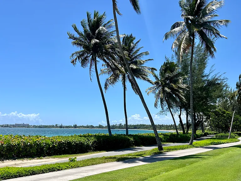 44 Dorado Beach Estate — Photo 16