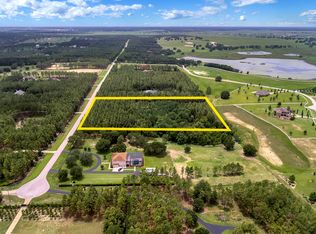 10107 Fox Meadow Trl, Winter Garden, FL 34787