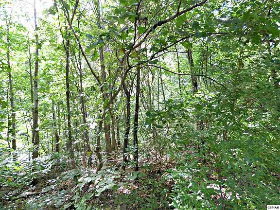 5th image of LOT 71 Chris Dale Dr Lot 71