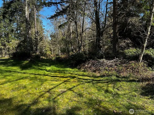 9999 Lot 1 Robinson Road, Port Angeles, WA 98362