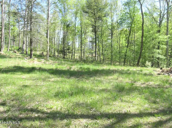 Off North Of Silver Pine Rd, Petersburg, PA 16669