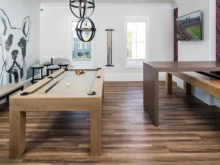 Resident Game Room with Pool Table, Lounge Seating, and Large-Screen TV