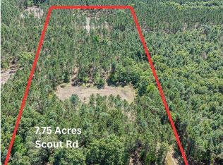 W Scout Rd, Mears, MI 49436