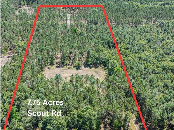 W Scout Rd, Mears, MI 49436