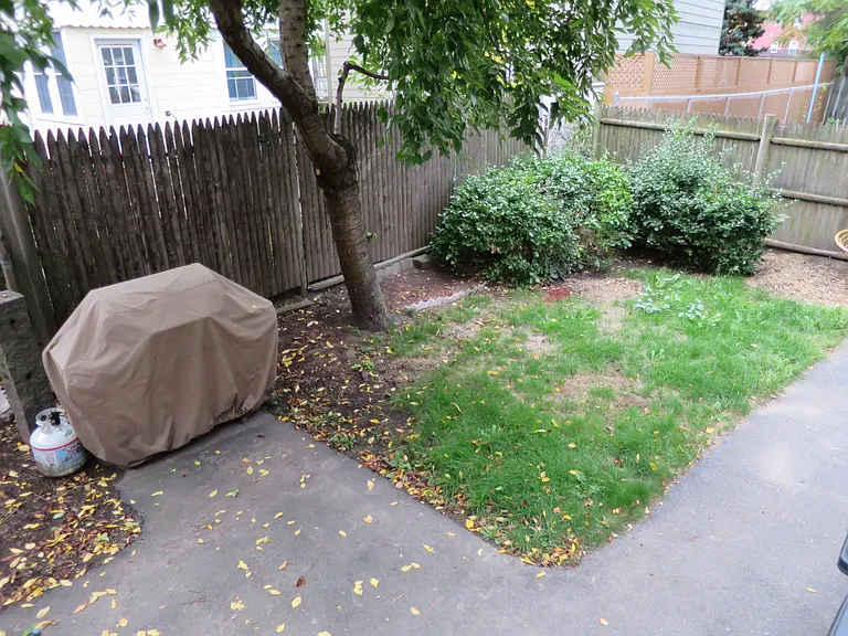 10 Charles E Ryan Rd #1B — Photo 10