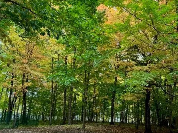 38155 Dead Lake Rd, Richville, MN 56576