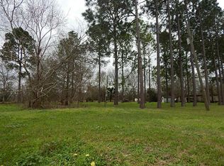 13011 Evelyn St, Needville, TX 77461