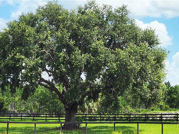 54th image of this home