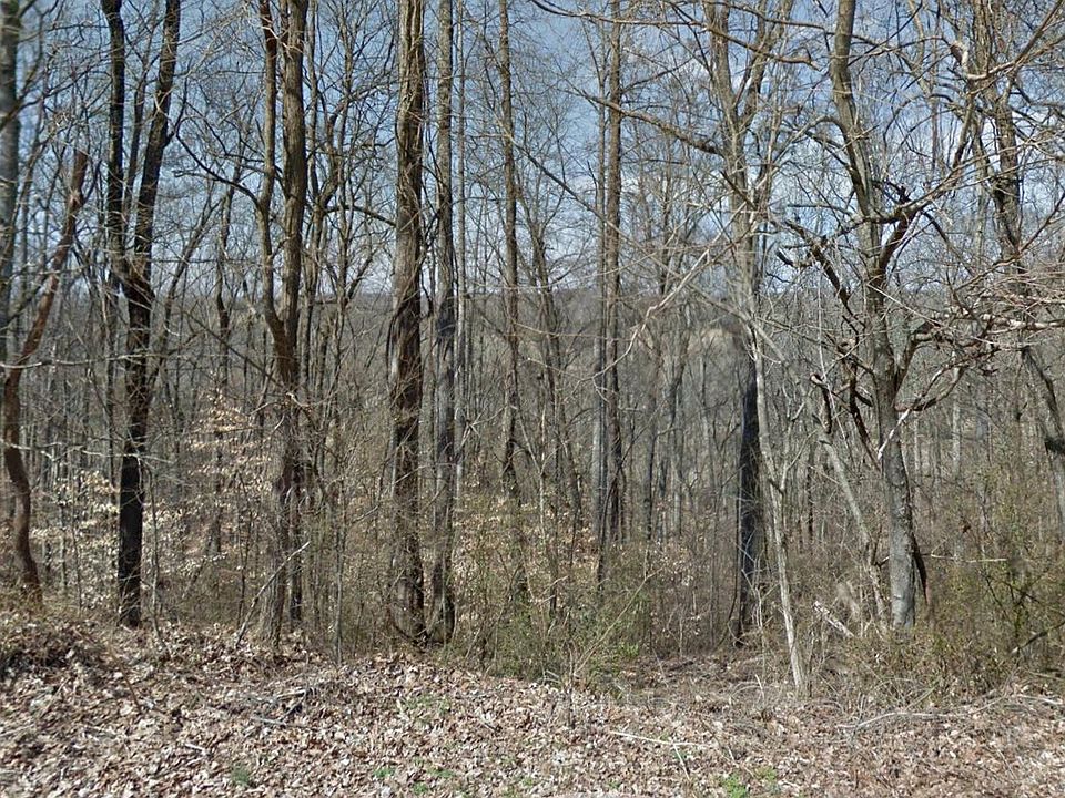 2nd image of Chestnut Ridge Dr