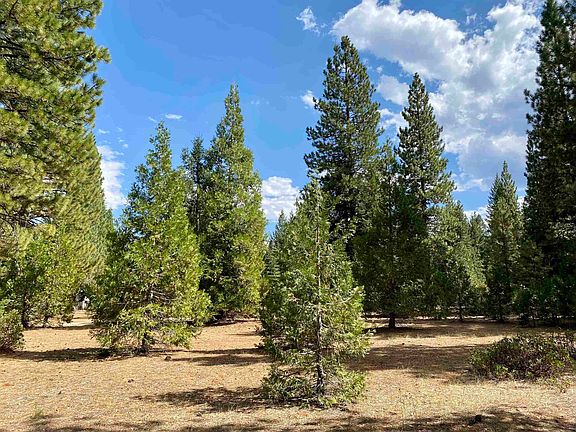 4th image of 1301 Lodgepole Trl