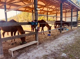 968 Gunter Pond Rd, Wagener, SC 29164
