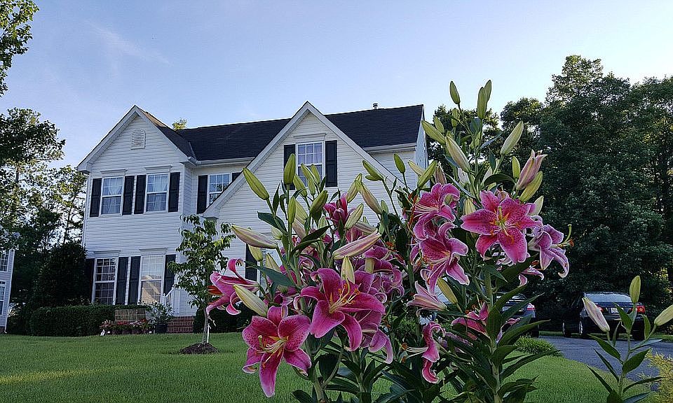 1st image of 2312 Woodman Hills Ct