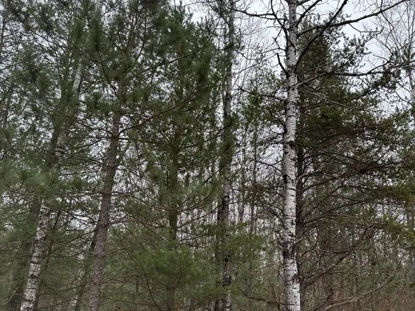 Wood Rd #4069-20, Tomahawk, WI 54487