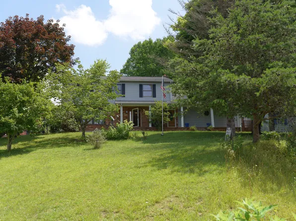 25 Sticky Ln, Summersville, WV 26651