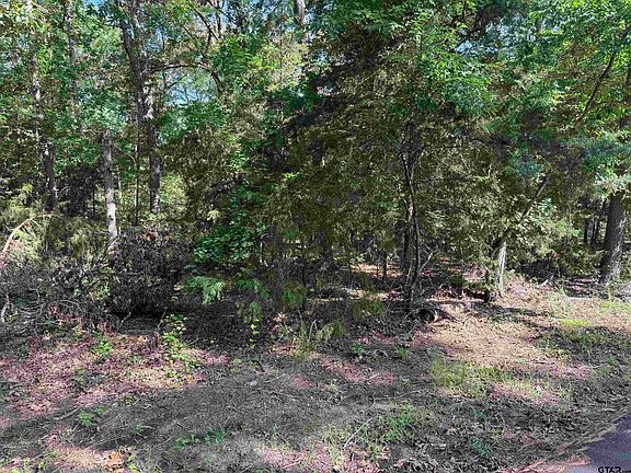 3rd image of 4 Cypress Creek Dr