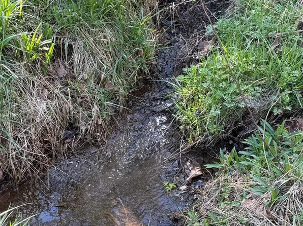 LOT 1 Dragons Rd, Linden, VA 22642