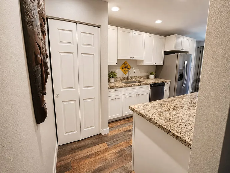 Kitchen and laundry door