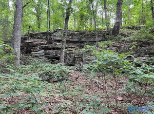 381 Worthington Ln, Guntersville, AL 35976