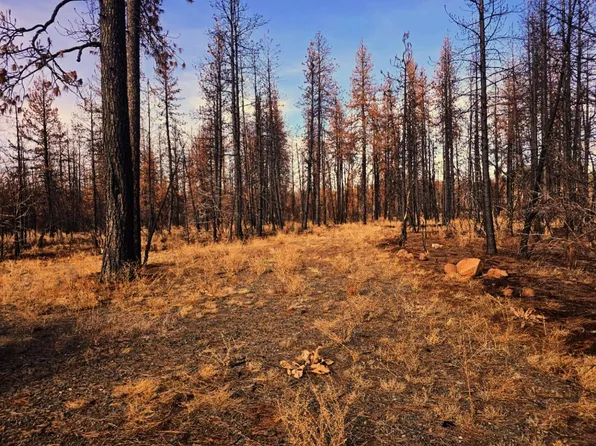 4 Zebra Ln #4, Bonanza, OR 97623