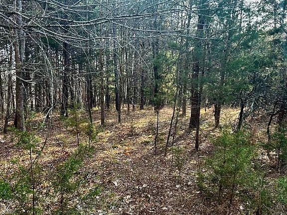 4th image of Elmore Rd