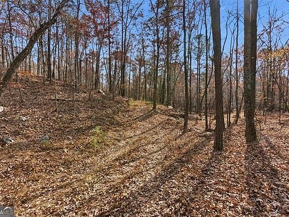 4th image of 0 Flowery Branch Rd