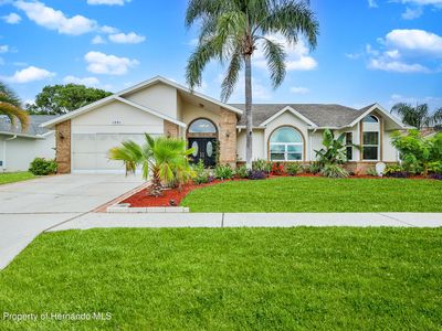 1291 Masada Ln, Spring Hill, FL, 34608