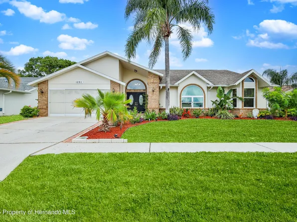 1291 Masada Ln, Spring Hill, FL 34608