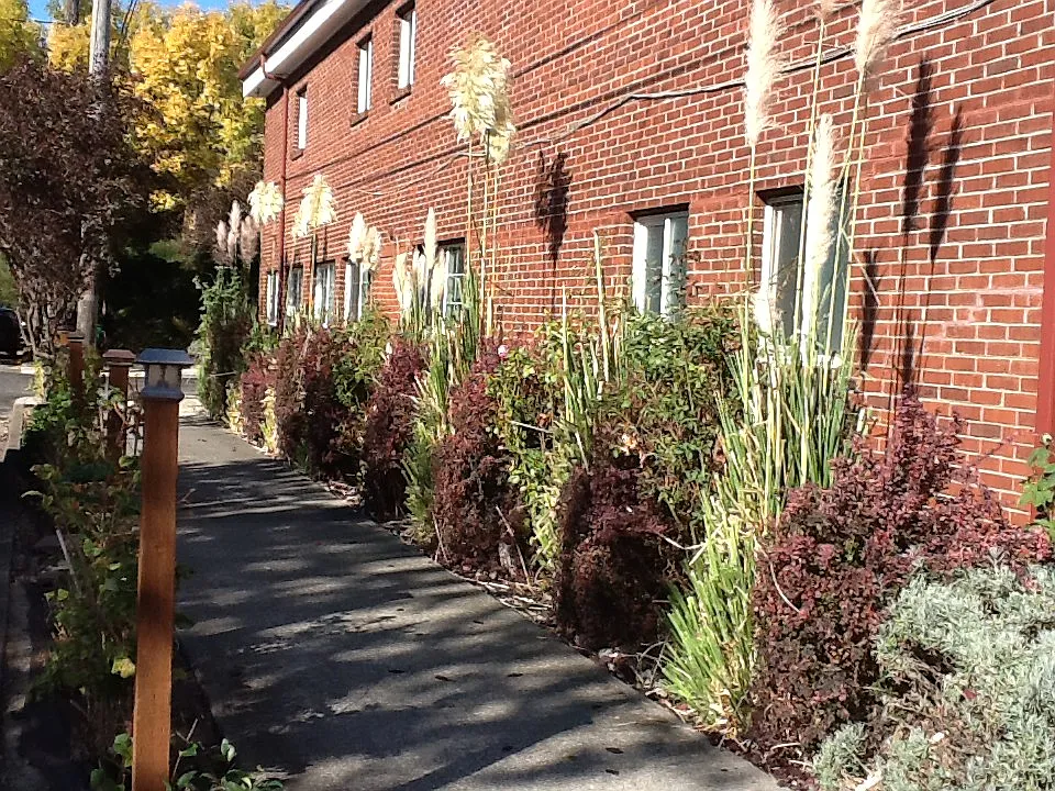 Studio, $799 — Photo 2